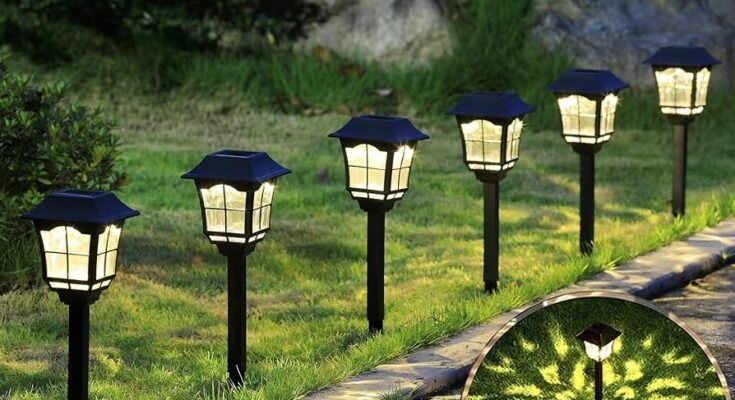 Best Solar Lights